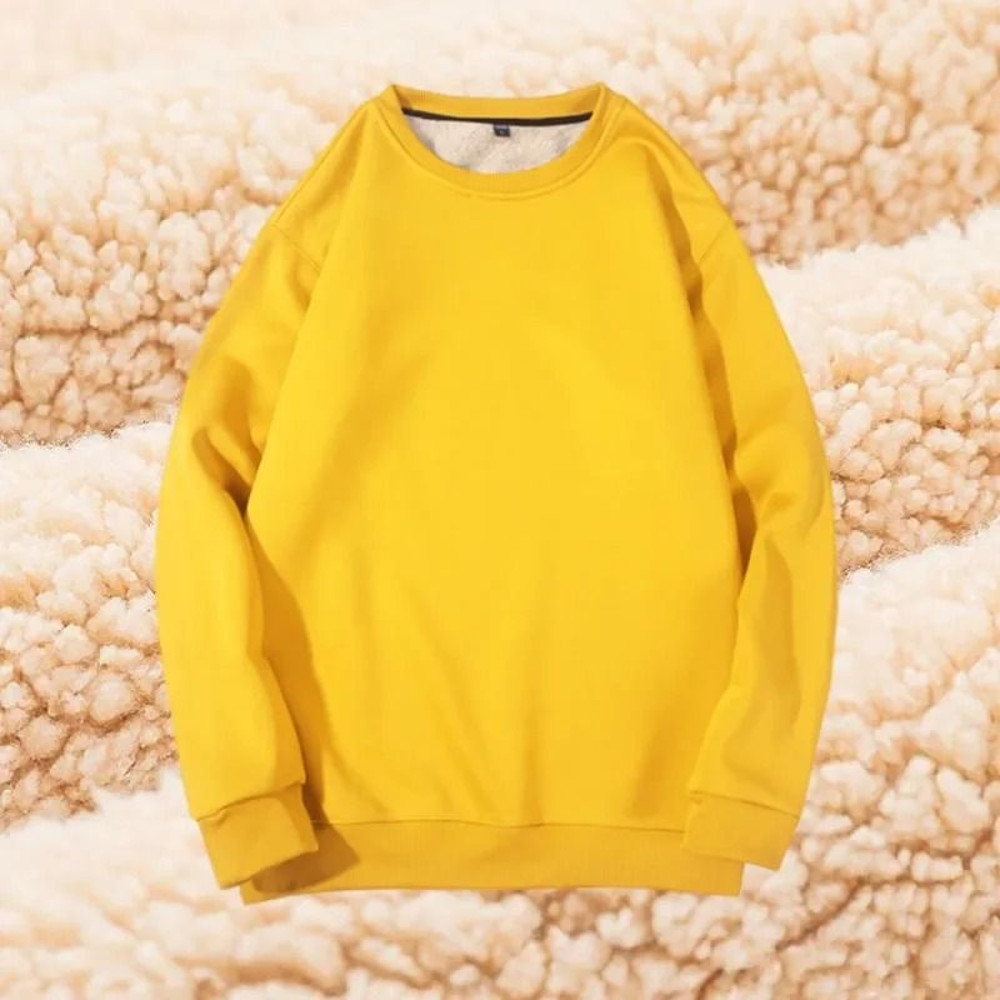 Winter Lamb Velvet Fleece Sweatshirt For Men Thickened Warm Casual Pullover 9