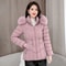 Winter Down Jacket Women Warm Hooded Parka Short Overcoat 10
