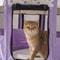 Foldable Mesh Pet Playpen Indoor Outdoor Cat And Dog Tent 6