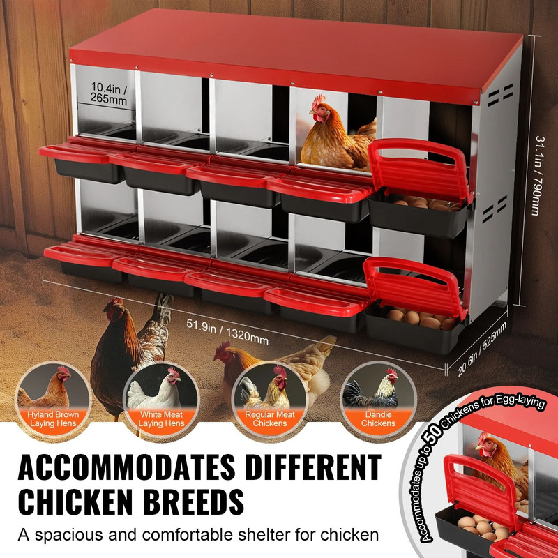Large Capacity Metal Chicken Nesting Boxes With Removable Trays And EasyClean Design 1