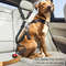 Adjustable Heavy Duty Dog Car Seat Belt 1