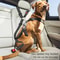 Adjustable Heavy Duty Dog Car Seat Belt 1