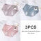 3 Pack Women Cotton Menstrual Briefs Leakproof High Absorption Postpartum Underwear 24