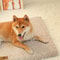 3D Foam Pet Bed With Removable Washable Faux Fur Cover Orthopedic Waterproof Dog Bed Anti Slip Bott 4