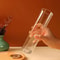 Modern Glass Incense Burner Anti Ash Flying Incense Holder With Removable Glass Ash Catcher For Hom 3