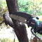 6 Inch Cordless Mini Chainsaw With High Power Copper Motor No Battery 6