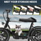 Electric Scooter With Seat For Adults 16 Inch Fat Tire All Terrain Commuter Ebike With Basket 2