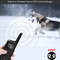 Dog Training Collar With Remote 1000ft Range And 3 Training Modes 2
