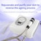 Cryo Electroporation Facial Beauty Machine For Skin Lifting And Circulation 0