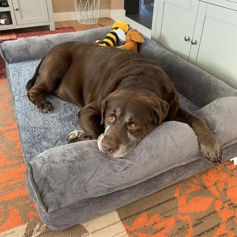 Extra Large Orthopedic Dog Bed With Washable Cover And Bolster Support 0