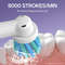 Rotating Electric Toothbrush With 8 Heads 5 Modes And Smart Timer 2