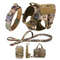 Large Dog Harness And Leash Set For Training And Walking 14