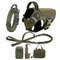 Large Dog Harness And Leash Set For Training And Walking 15
