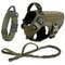 Large Dog Harness And Leash Set For Training And Walking 19