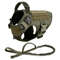 Large Dog Harness And Leash Set For Training And Walking 23