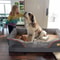 Orthopedic Memory Foam Dog Bed Sofa With Waterproof Removable Cover 4