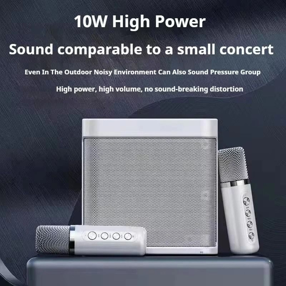 Portable Karaoke Machine With Dual Microphones Bluetooth Speaker For Adults And Kids 2