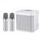 Portable Karaoke Machine With Dual Microphones Bluetooth Speaker For Adults And Kids 8
