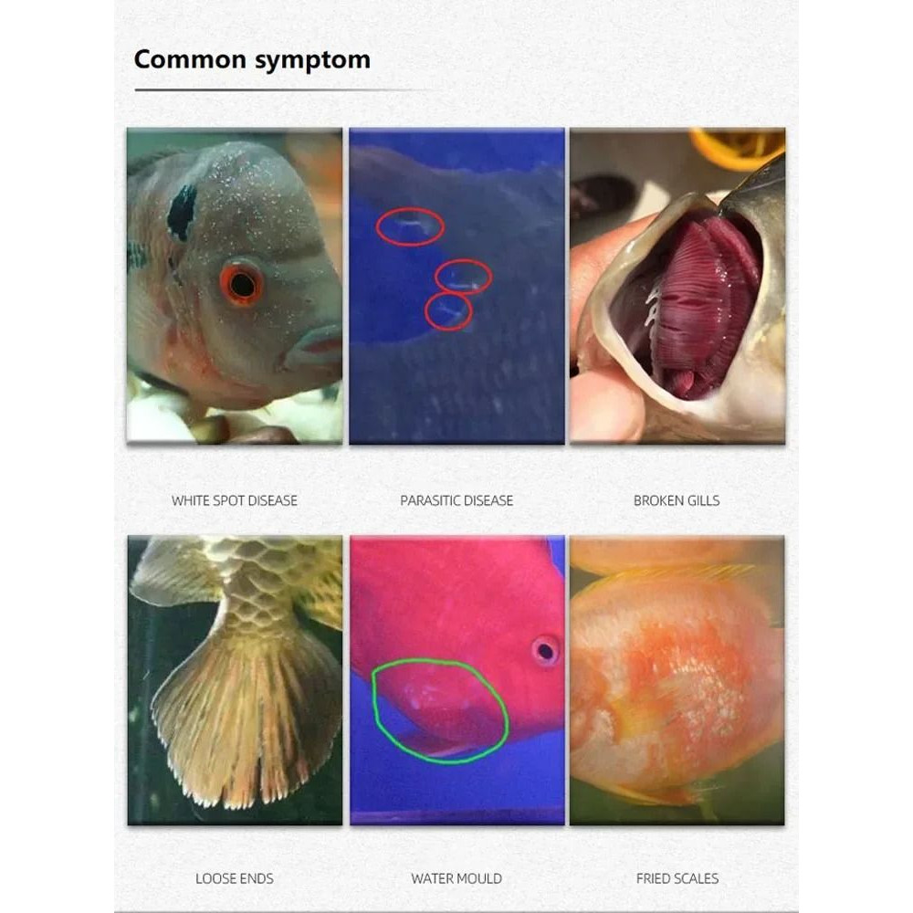 Methylene Blue Solution For Aquarium Fish Treatment 310ml 2