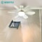 E27 Ceiling Fan Light With Remote Control And Adjustable LED Modes 0