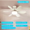 E27 Ceiling Fan Light With Remote Control And Adjustable LED Modes 7