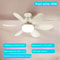 E27 Ceiling Fan Light With Remote Control And Adjustable LED Modes 8