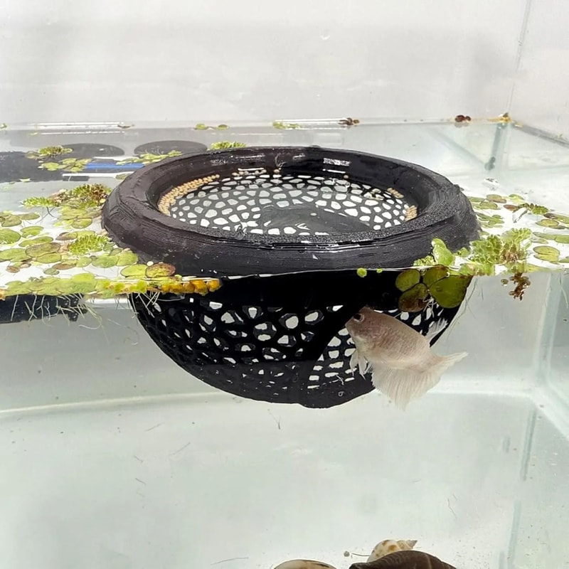 Aquarium Floating Cave And Feeding Ring 3in1 Shelter For Betta And Shrimp 0