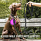 Strong Reflective Dog Leash For Small Medium And Large Dogs 5