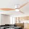 Modern LED Ceiling Fan Light With Remote Control For Bedrooms And Living Rooms 6