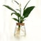 Glass Planter Propagation Station Vase Rack Tabletop Hydroponic Plants Decoration 5