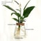 Glass Planter Propagation Station Vase Rack Tabletop Hydroponic Plants Decoration 6