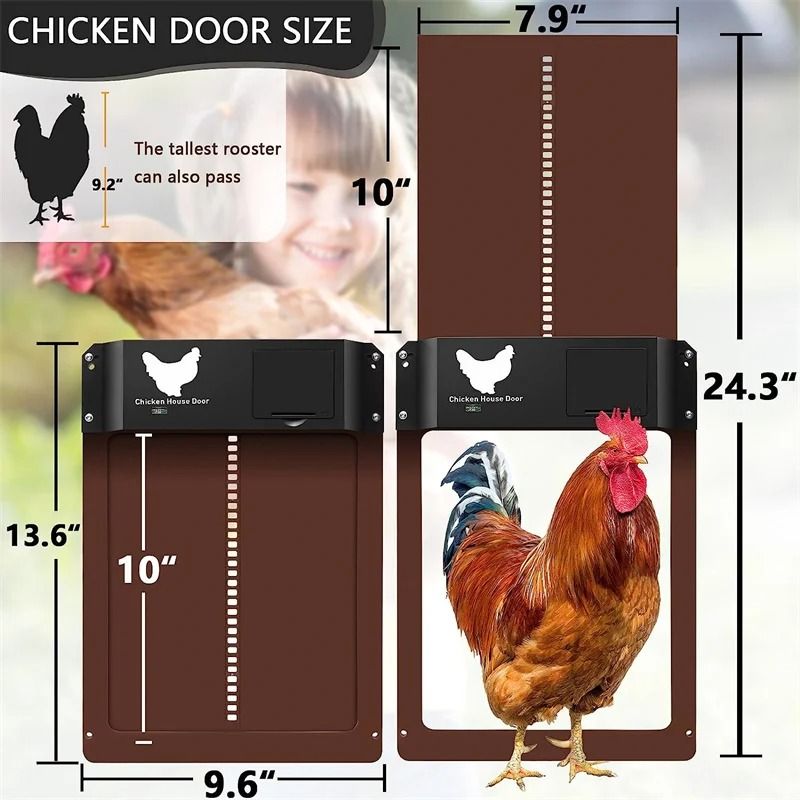 Automatic Chicken Coop Door With Light Sensor And Battery Power 7