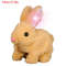 Electric Rabbit Plush Toy With Carrot Walking EarWiggling And TailWagging Interactive Bunny For Ki 14