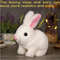 Electric Rabbit Plush Toy With Carrot Walking EarWiggling And TailWagging Interactive Bunny For Ki 2