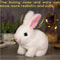 Electric Rabbit Plush Toy With Carrot Walking EarWiggling And TailWagging Interactive Bunny For Ki 2