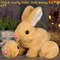 Electric Rabbit Plush Toy With Carrot Walking EarWiggling And TailWagging Interactive Bunny For Ki 4