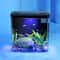 Mini Fish Tank With Self Circulating Filter System For Living Room Or Desktop 0