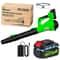 Cordless Grass Trimmer And Weed Wacker With 2 Li Ion Batteries And 3 Blade Types 15