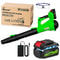 Cordless Grass Trimmer And Weed Wacker With 2 Li Ion Batteries And 3 Blade Types 15