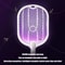 Upgraded 3 In 1 Electric Mosquito Swatter 3000V TypeC Rechargeable Mosquito Killer Lamp With Digita 3