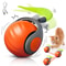 Interactive Smart Cat Toy Ball With Moving Tail 1