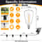 Solar Globe LED String Lights With Remote Control And USB Recharge 11