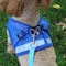 Adjustable Mesh Vest Harness And Leash Set For Dogs And Cats 0