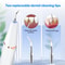 Electric Dental Scaler And Tartar Remover With Ultrasonic Plaque Cleaning Kit 3
