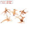 Natural Wooden Driftwood Decoration For Fish Tanks 10