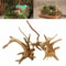 Natural Wooden Driftwood Decoration For Fish Tanks 2