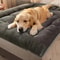 Extra Large Plush Dog Bed With Thick Cushion And Soft Cover 4