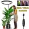 Height Adjustable LED Ring Grow Light For Indoor Plants 0