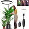 Height Adjustable LED Ring Grow Light For Indoor Plants 6
