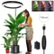 Height Adjustable LED Ring Grow Light For Indoor Plants 7